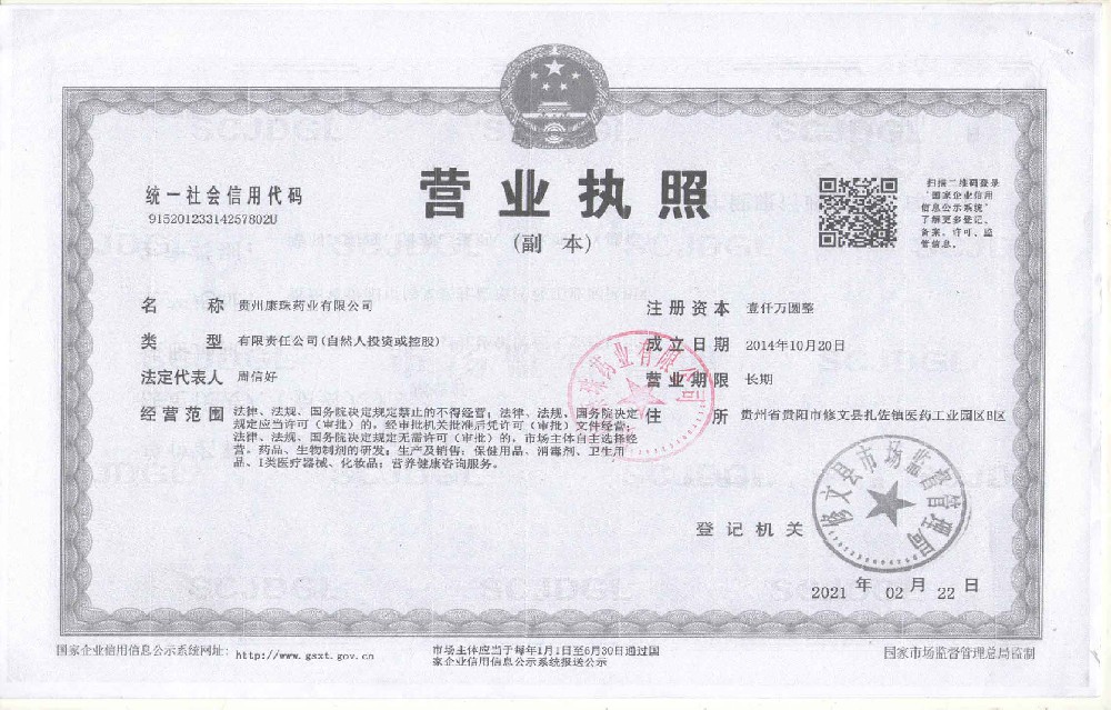 贵州康珠药业有限公司营业执照